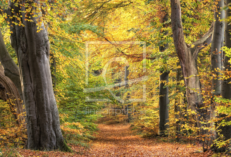 frei w&auml;hlbarer Bildausschnitt f&uuml;r Ihr Bild auf Schieferplatte