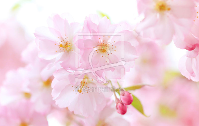 frei wählbarer Bildausschnitt für Ihr Bild auf Schieferplatte