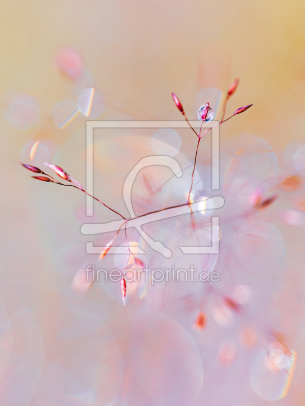 frei w&auml;hlbarer Bildausschnitt f&uuml;r Ihr Bild auf Schieferplatte