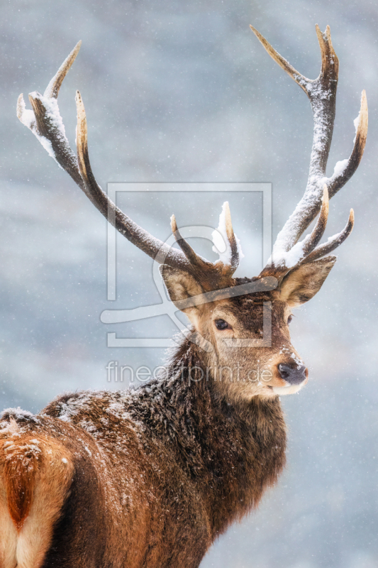 frei w&auml;hlbarer Bildausschnitt f&uuml;r Ihr Bild auf Schieferplatte