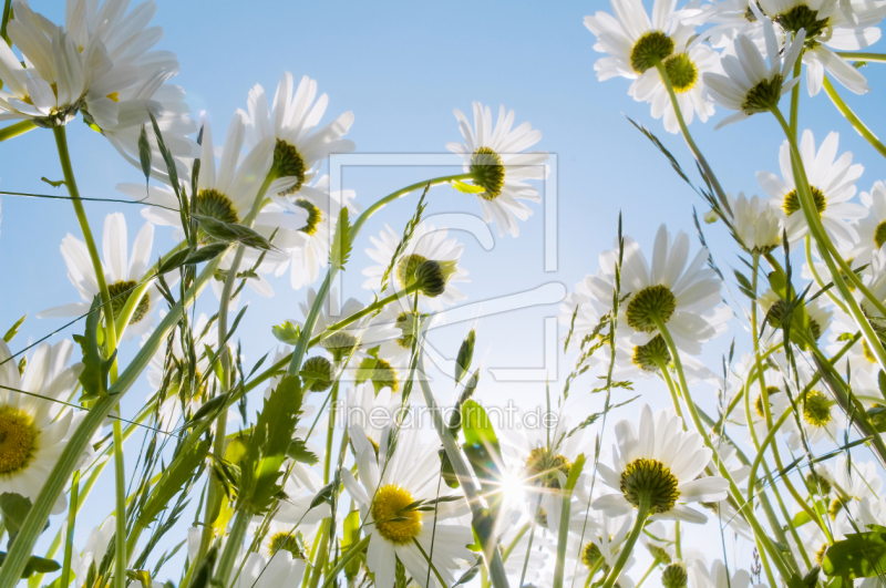 frei w&auml;hlbarer Bildausschnitt f&uuml;r Ihr Bild auf Schieferplatte