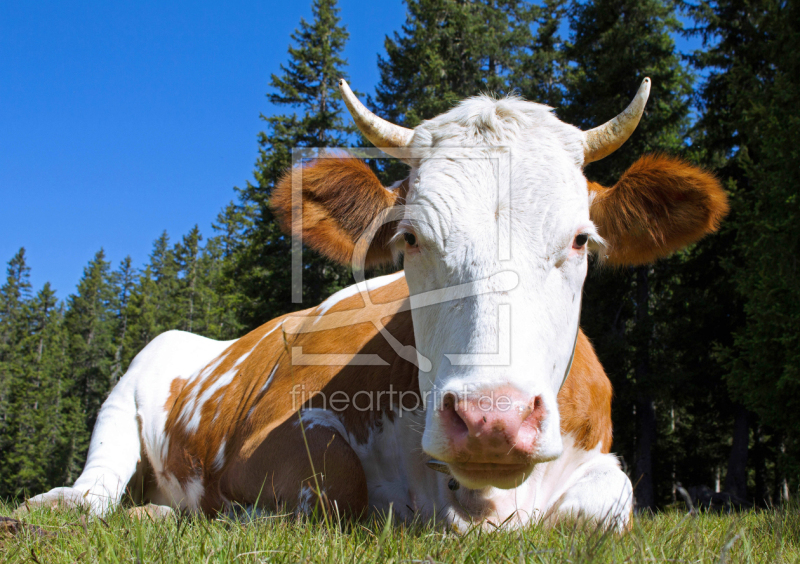 frei w&auml;hlbarer Bildausschnitt f&uuml;r Ihr Bild auf Schieferplatte