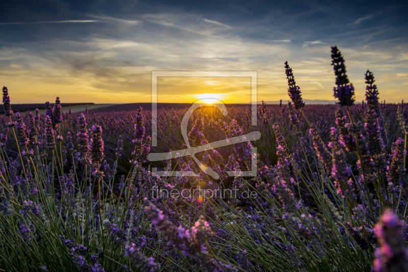 frei w&auml;hlbarer Bildausschnitt f&uuml;r Ihr Bild auf Schieferplatte