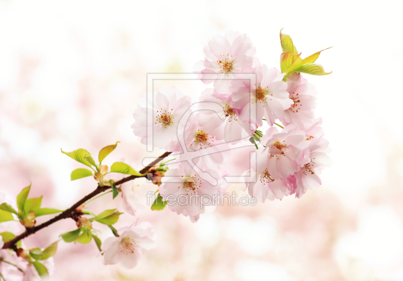 frei w&auml;hlbarer Bildausschnitt f&uuml;r Ihr Bild auf Schieferplatte