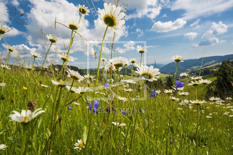 frei w&auml;hlbarer Bildausschnitt f&uuml;r Ihr Bild auf Schieferplatte