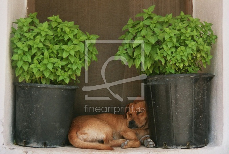 frei w&auml;hlbarer Bildausschnitt f&uuml;r Ihr Bild auf Schieferplatte