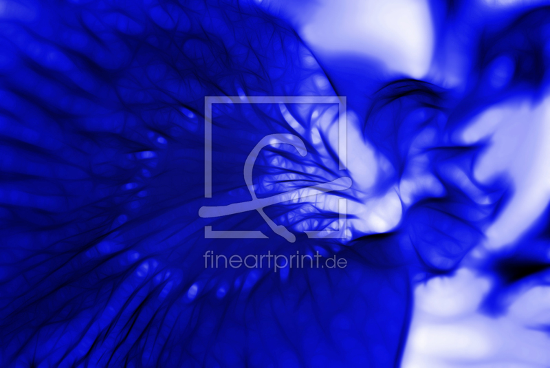 frei w&auml;hlbarer Bildausschnitt f&uuml;r Ihr Bild auf Tapete