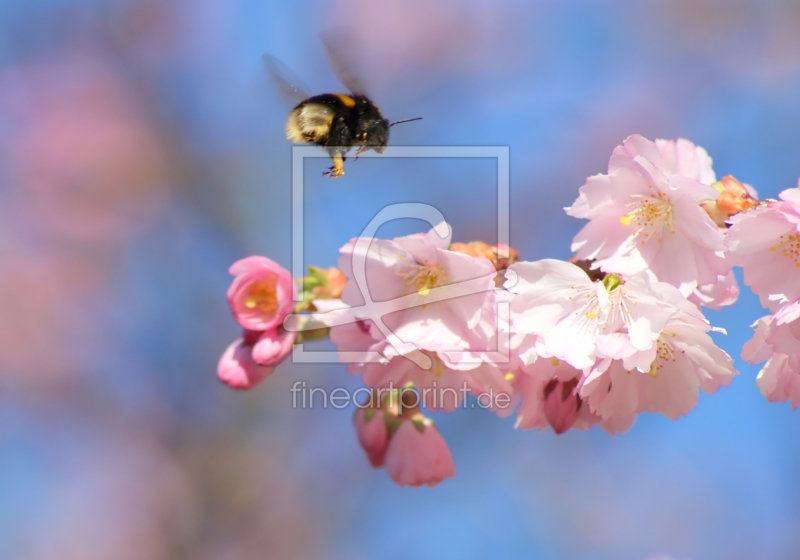 frei w&auml;hlbarer Bildausschnitt f&uuml;r Ihr Bild auf Tapete
