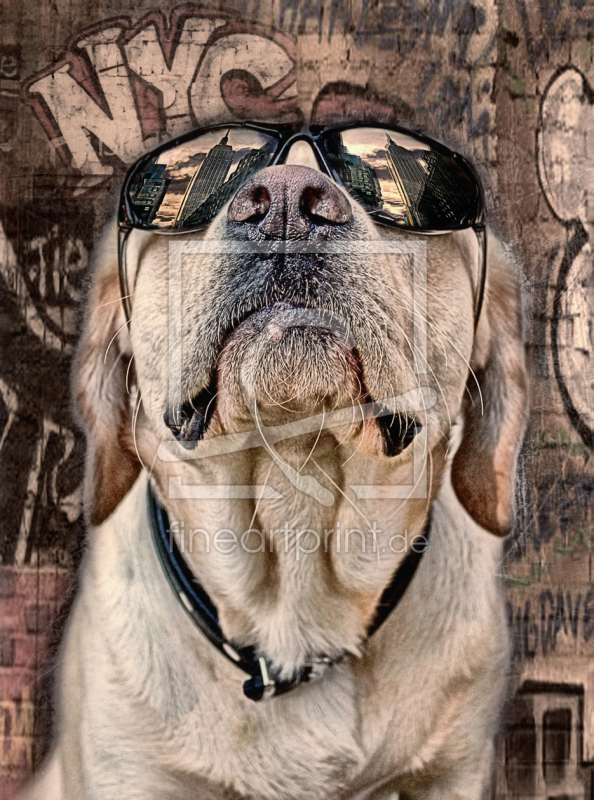 frei w&auml;hlbarer Bildausschnitt f&uuml;r Ihr Bild auf Tapete