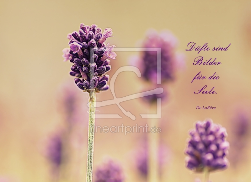 frei w&auml;hlbarer Bildausschnitt f&uuml;r Ihr Bild auf Tapete