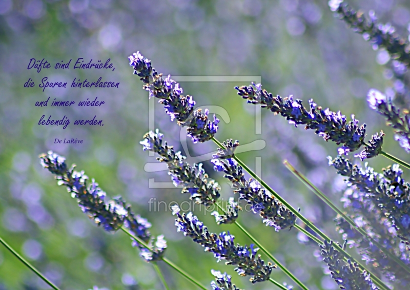 frei w&auml;hlbarer Bildausschnitt f&uuml;r Ihr Bild auf Tapete