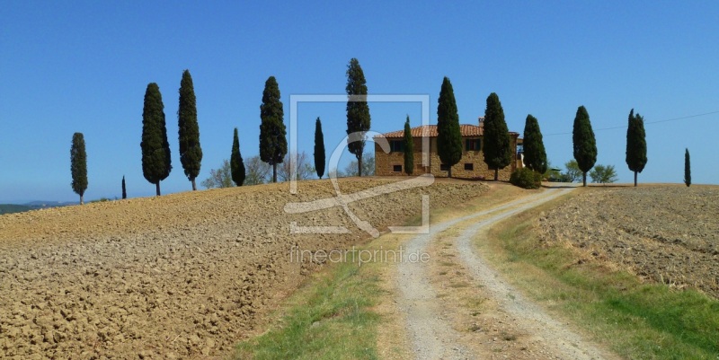 frei wählbarer Bildausschnitt für Ihr Bild auf Tapete