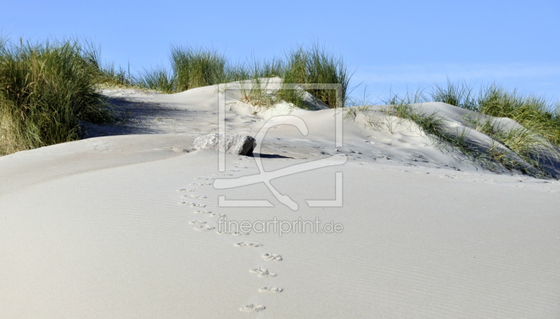 frei w&auml;hlbarer Bildausschnitt f&uuml;r Ihr Bild auf Tapete