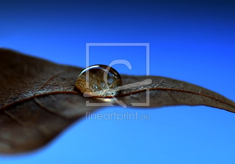 frei w&auml;hlbarer Bildausschnitt f&uuml;r Ihr Bild auf Tapete