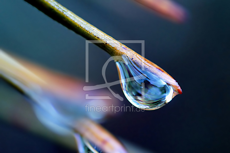 frei w&auml;hlbarer Bildausschnitt f&uuml;r Ihr Bild auf Tapete