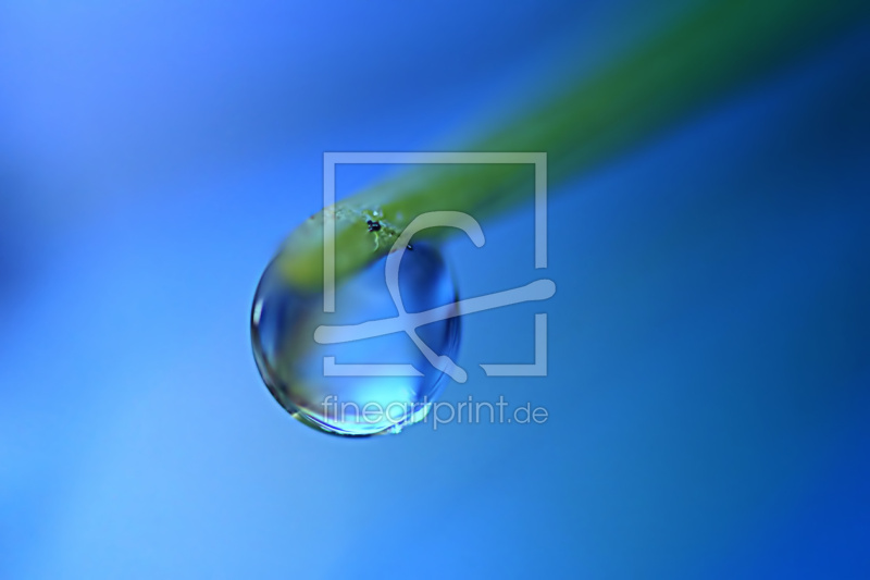 frei w&auml;hlbarer Bildausschnitt f&uuml;r Ihr Bild auf Tapete