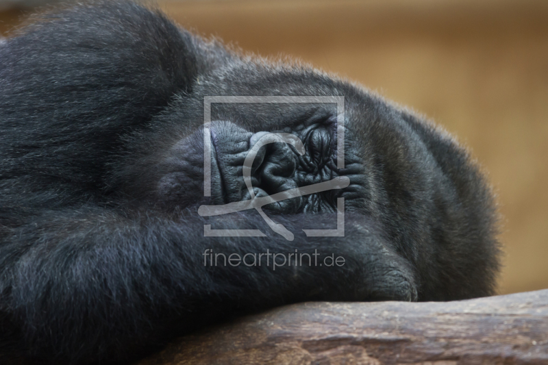 frei w&auml;hlbarer Bildausschnitt f&uuml;r Ihr Bild auf Tapete