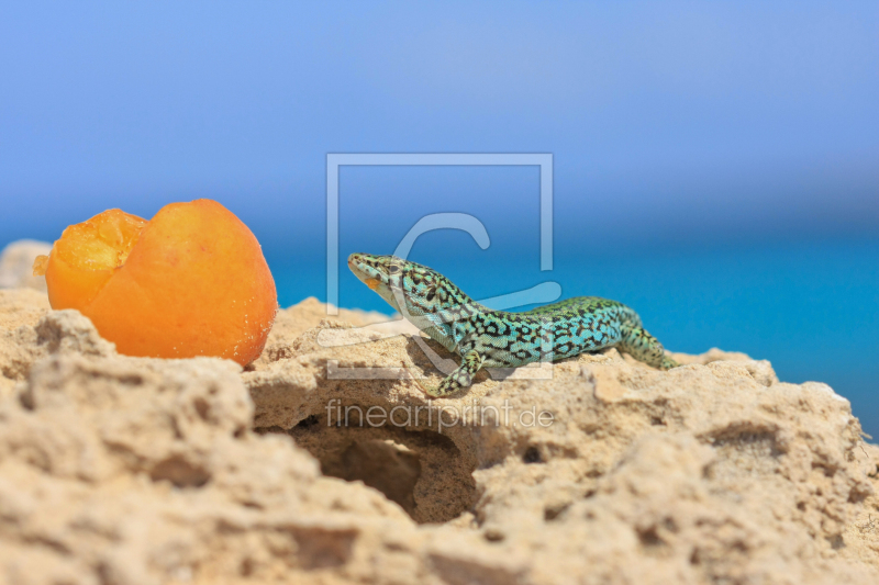 frei w&auml;hlbarer Bildausschnitt f&uuml;r Ihr Bild auf Tapete