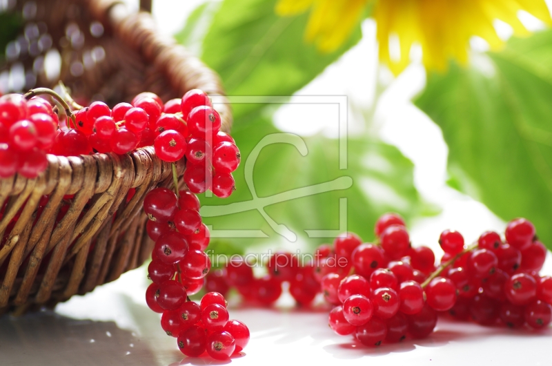 frei w&auml;hlbarer Bildausschnitt f&uuml;r Ihr Bild auf Tapete