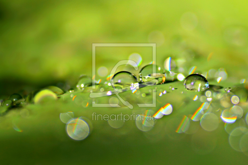 frei w&auml;hlbarer Bildausschnitt f&uuml;r Ihr Bild auf Tapete