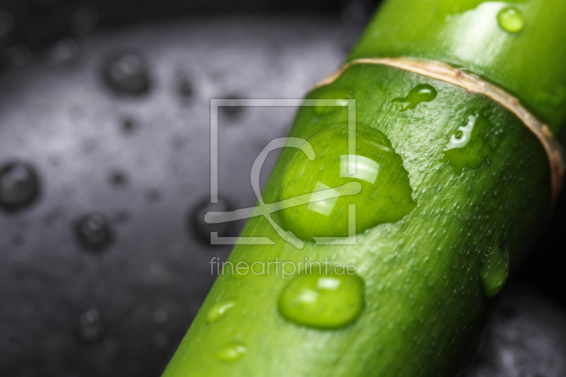 frei w&auml;hlbarer Bildausschnitt f&uuml;r Ihr Bild auf Tapete