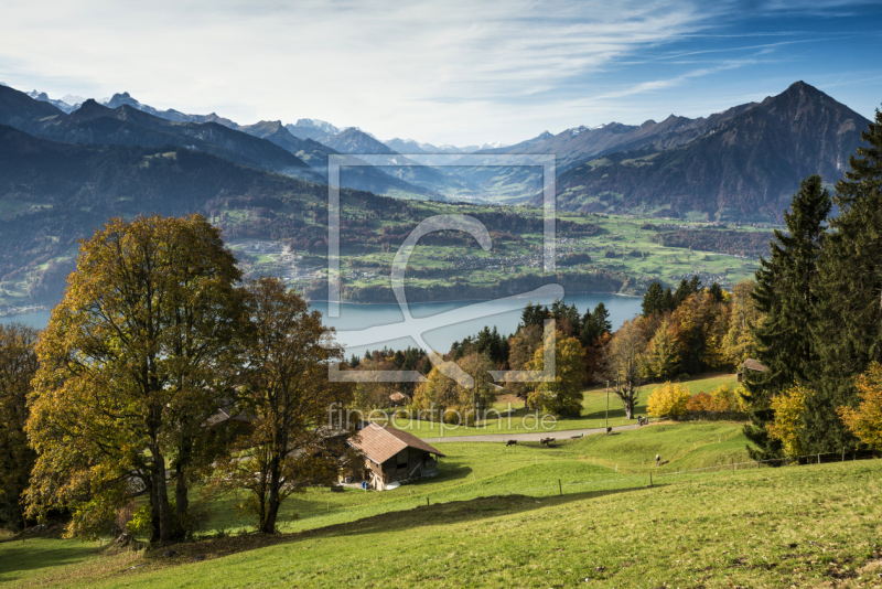 frei w&auml;hlbarer Bildausschnitt f&uuml;r Ihr Bild auf Tapete