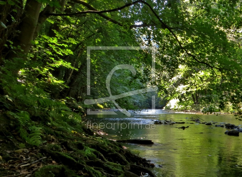 frei wählbarer Bildausschnitt für Ihr Bild auf Tapete