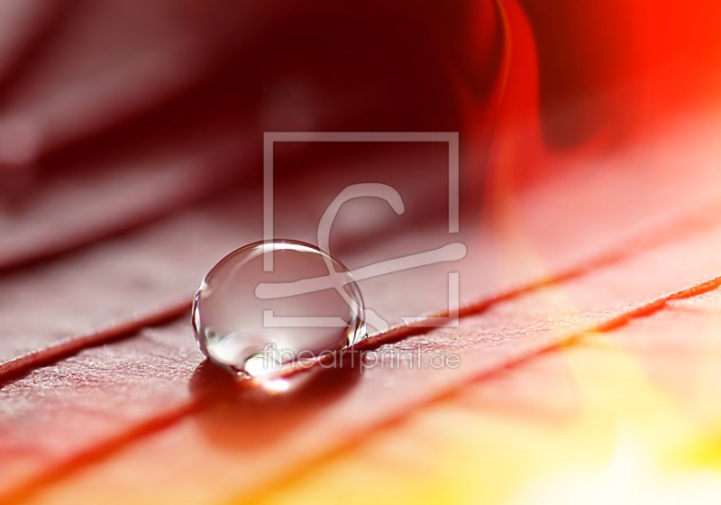 frei w&auml;hlbarer Bildausschnitt f&uuml;r Ihr Bild auf Tapete