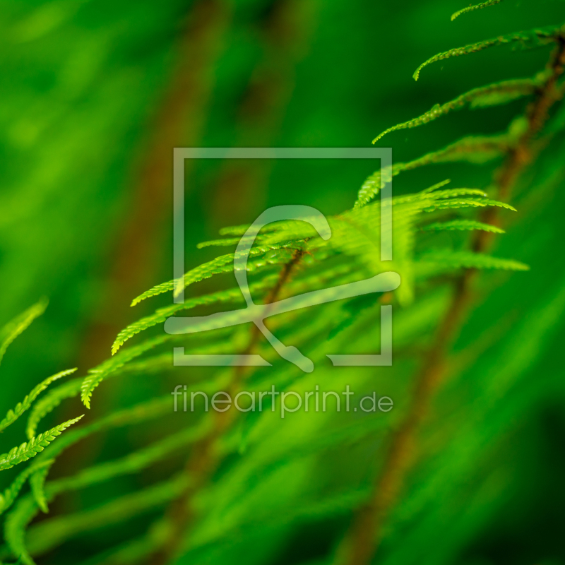 frei w&auml;hlbarer Bildausschnitt f&uuml;r Ihr Bild auf Tapete