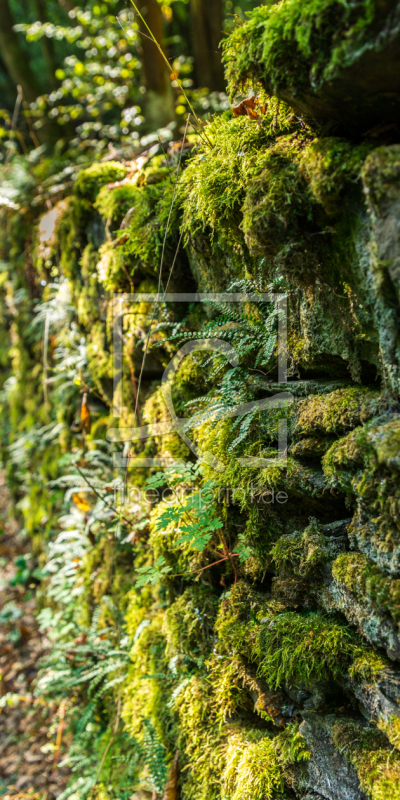 frei w&auml;hlbarer Bildausschnitt f&uuml;r Ihr Bild auf Tapete