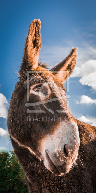 frei w&auml;hlbarer Bildausschnitt f&uuml;r Ihr Bild auf Tapete