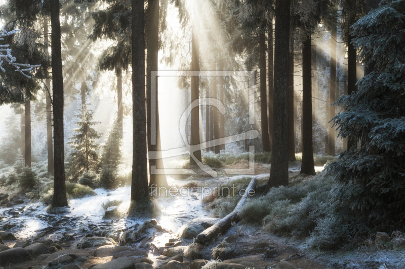 frei w&auml;hlbarer Bildausschnitt f&uuml;r Ihr Bild auf Tapete