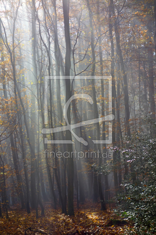 frei w&auml;hlbarer Bildausschnitt f&uuml;r Ihr Bild auf Tapete