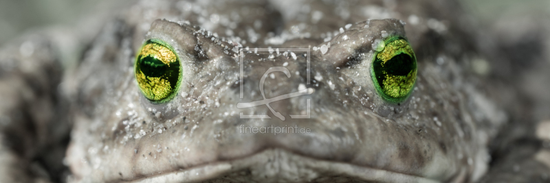 frei w&auml;hlbarer Bildausschnitt f&uuml;r Ihr Bild auf Tapete