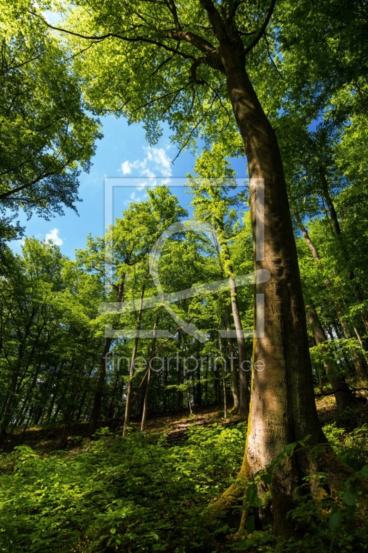 frei w&auml;hlbarer Bildausschnitt f&uuml;r Ihr Bild auf Tapete