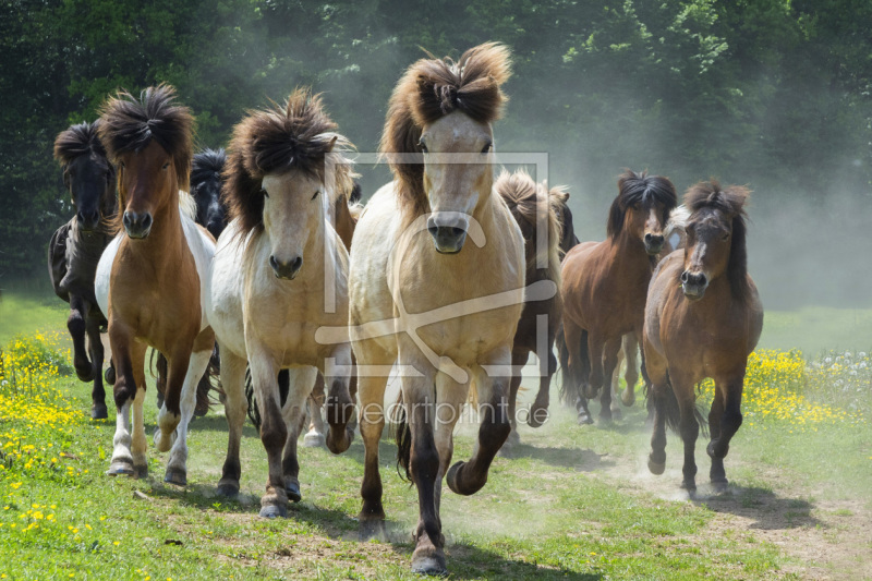 frei w&auml;hlbarer Bildausschnitt f&uuml;r Ihr Bild auf Tapete