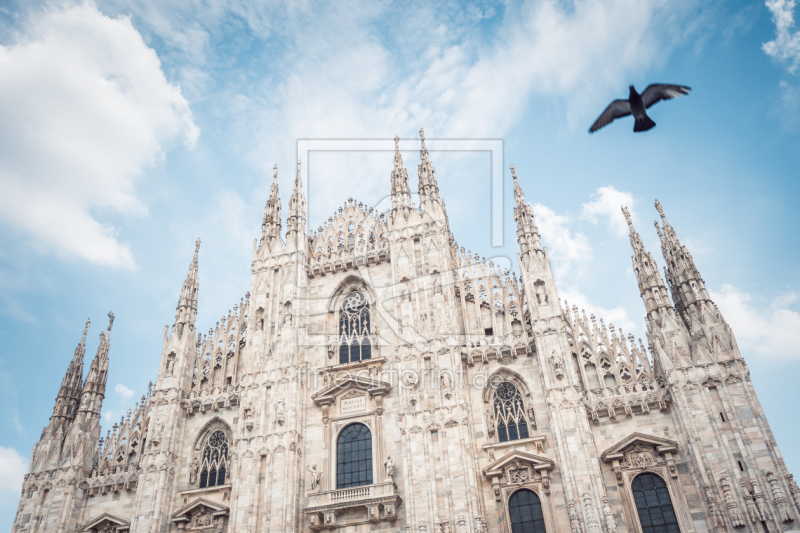 frei w&auml;hlbarer Bildausschnitt f&uuml;r Ihr Bild auf Tapete