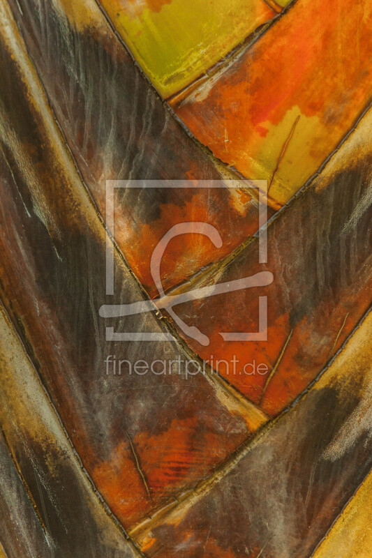 frei w&auml;hlbarer Bildausschnitt f&uuml;r Ihr Bild auf Tapete