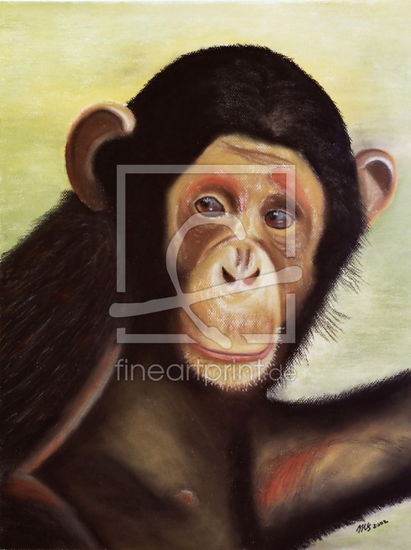 frei w&auml;hlbarer Bildausschnitt f&uuml;r Ihr Bild auf Tapete