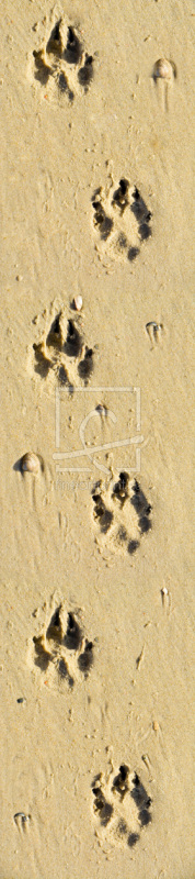 frei w&auml;hlbarer Bildausschnitt f&uuml;r Ihr Bild auf Tapete