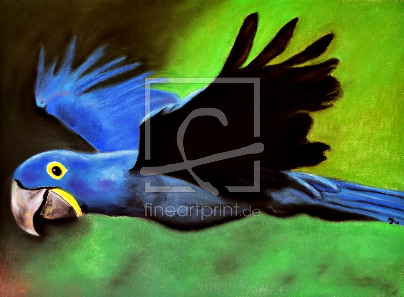 frei wählbarer Bildausschnitt für Ihr Bild auf Tapete