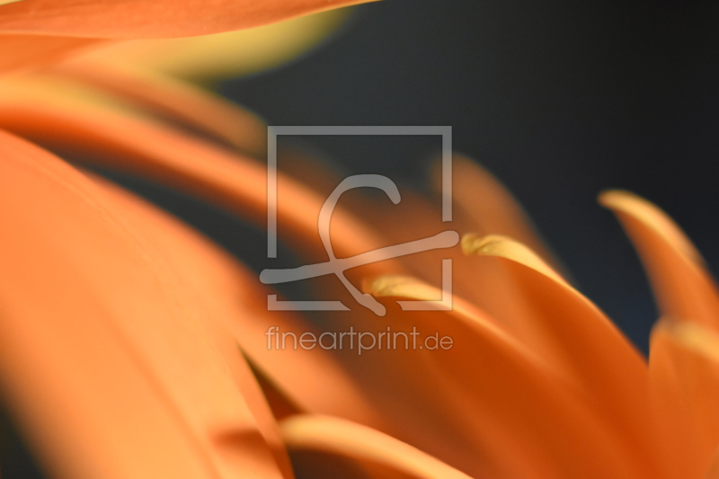 frei w&auml;hlbarer Bildausschnitt f&uuml;r Ihr Bild auf Tapete