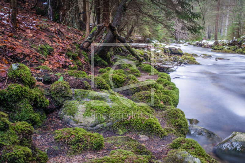 frei w&auml;hlbarer Bildausschnitt f&uuml;r Ihr Bild auf Tapete
