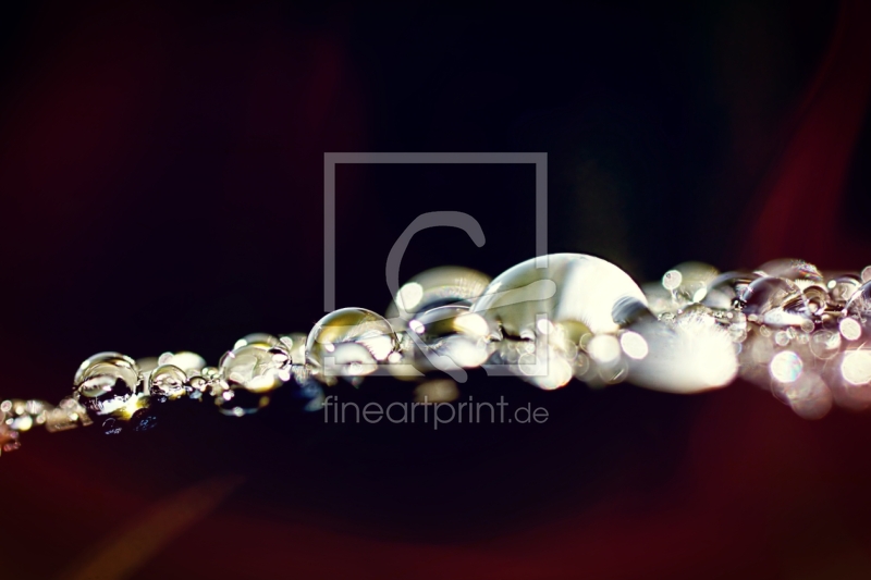 frei w&auml;hlbarer Bildausschnitt f&uuml;r Ihr Bild auf Tapete