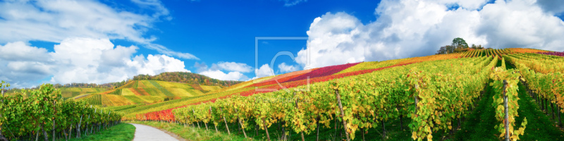 frei w&auml;hlbarer Bildausschnitt f&uuml;r Ihr Bild auf Tapete