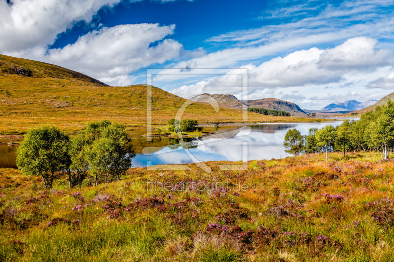 frei wählbarer Bildausschnitt für Ihr Bild auf Tapete