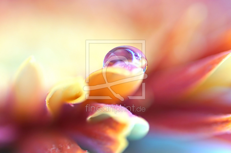 frei w&auml;hlbarer Bildausschnitt f&uuml;r Ihr Bild auf Tapete