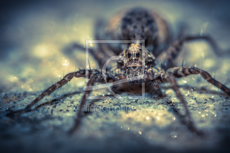 frei w&auml;hlbarer Bildausschnitt f&uuml;r Ihr Bild auf Tapete