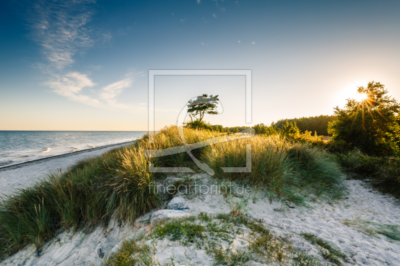 frei w&auml;hlbarer Bildausschnitt f&uuml;r Ihr Bild auf Tapete