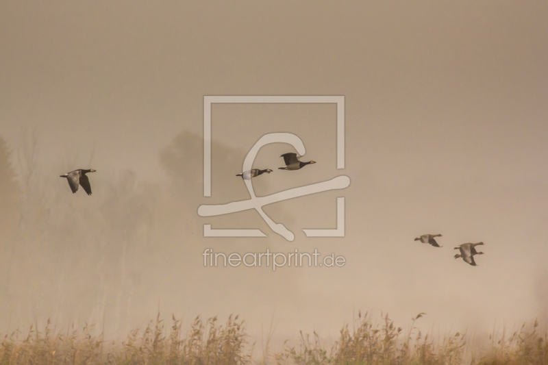 frei w&auml;hlbarer Bildausschnitt f&uuml;r Ihr Bild auf Tapete